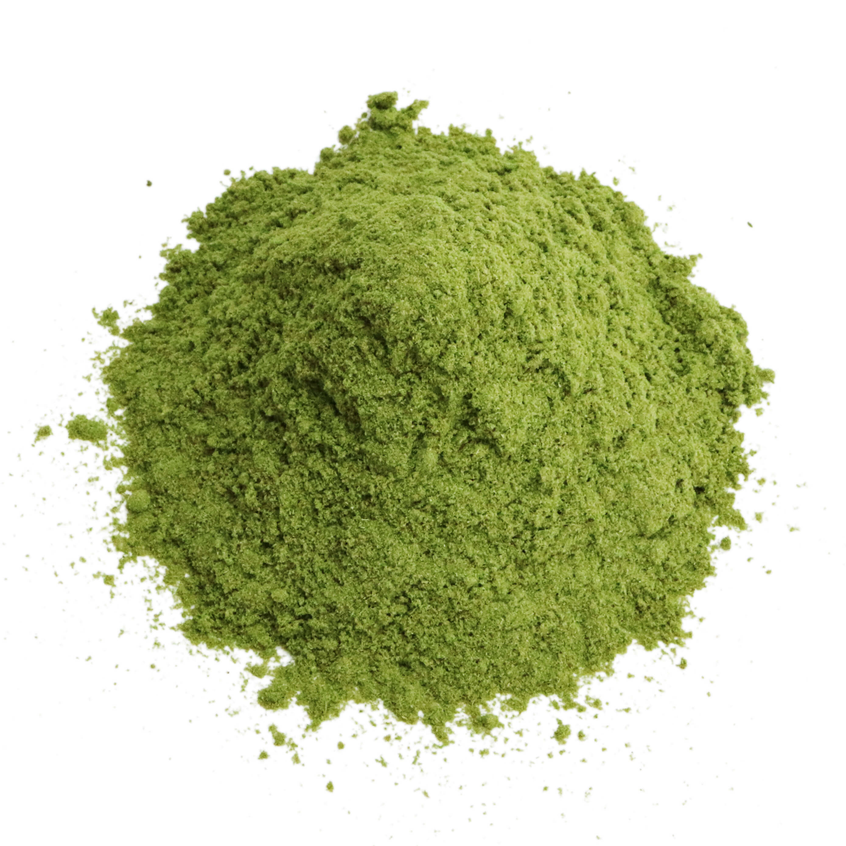 ブロッコリースプラウト 緑