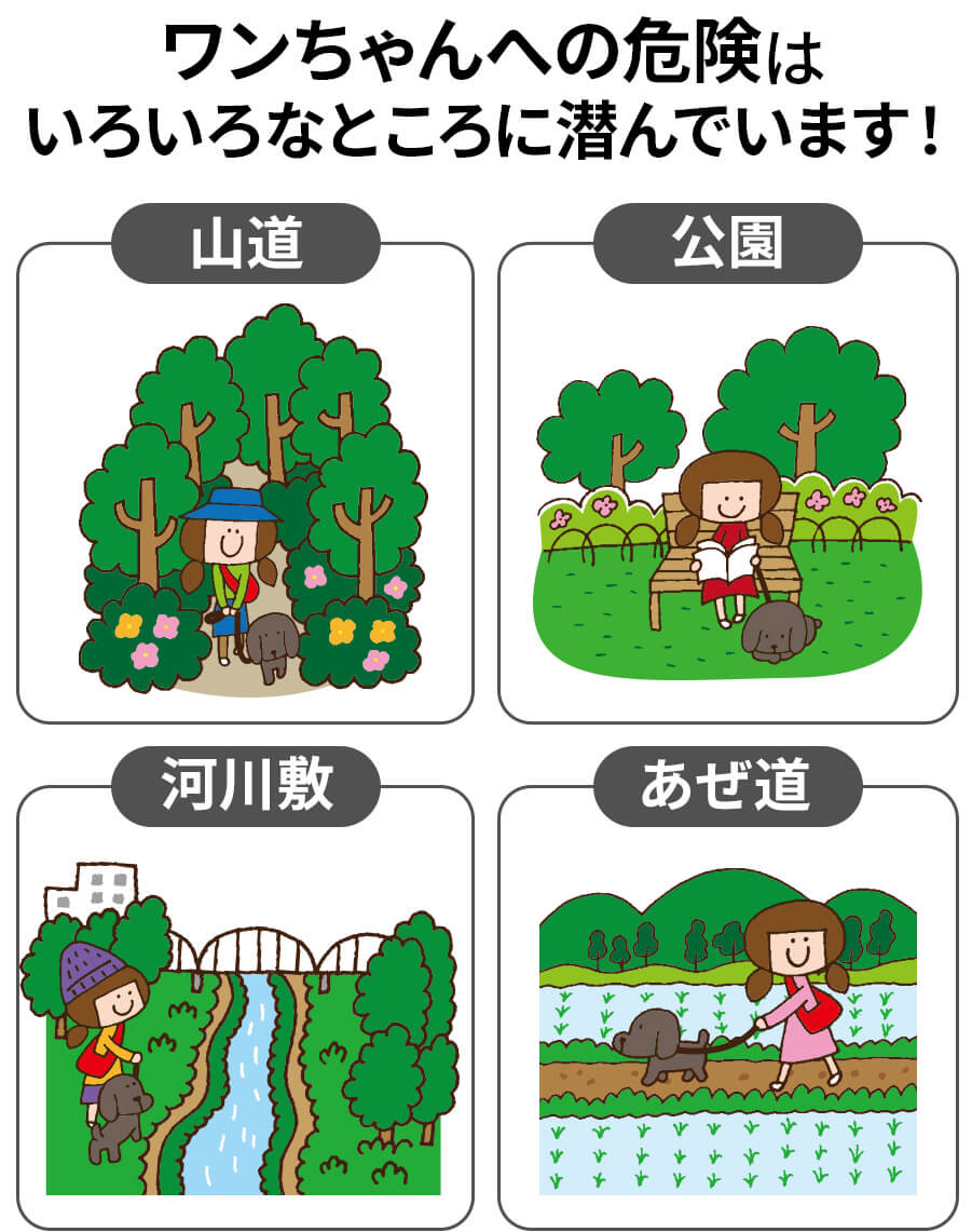 ペットシュシュ商品説明