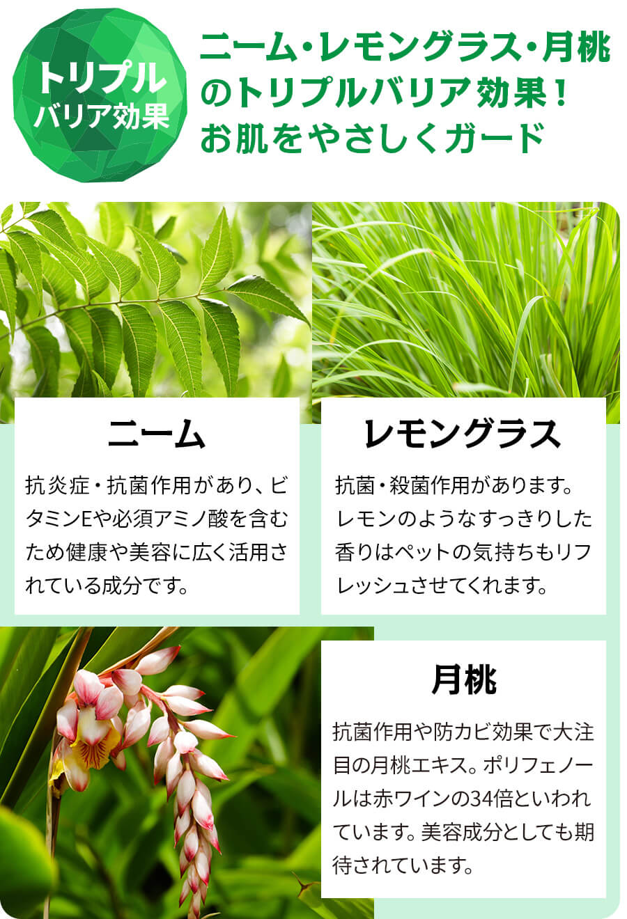 ペットシュシュ商品説明