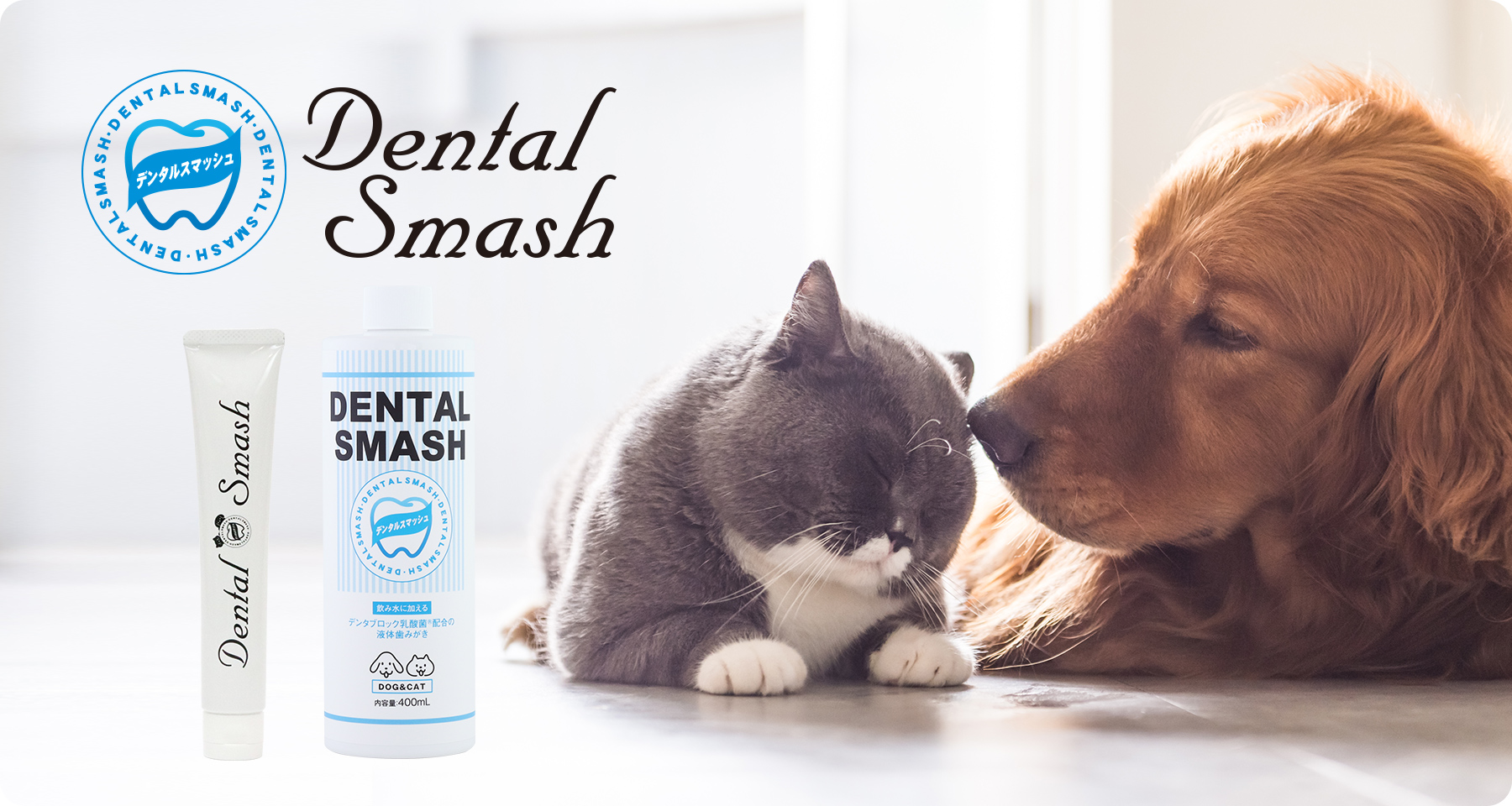 デンタルスマッシュ