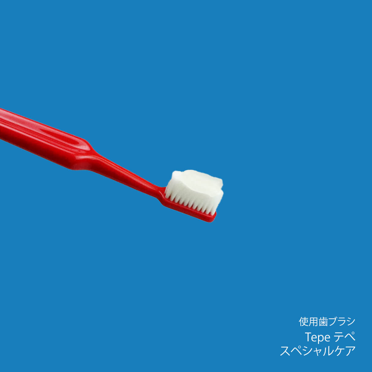 トゥースペースト50g