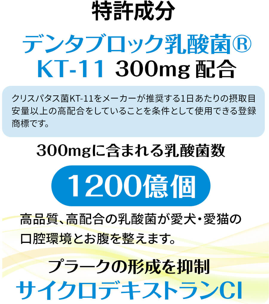 デンタルスマッシュ商品説明