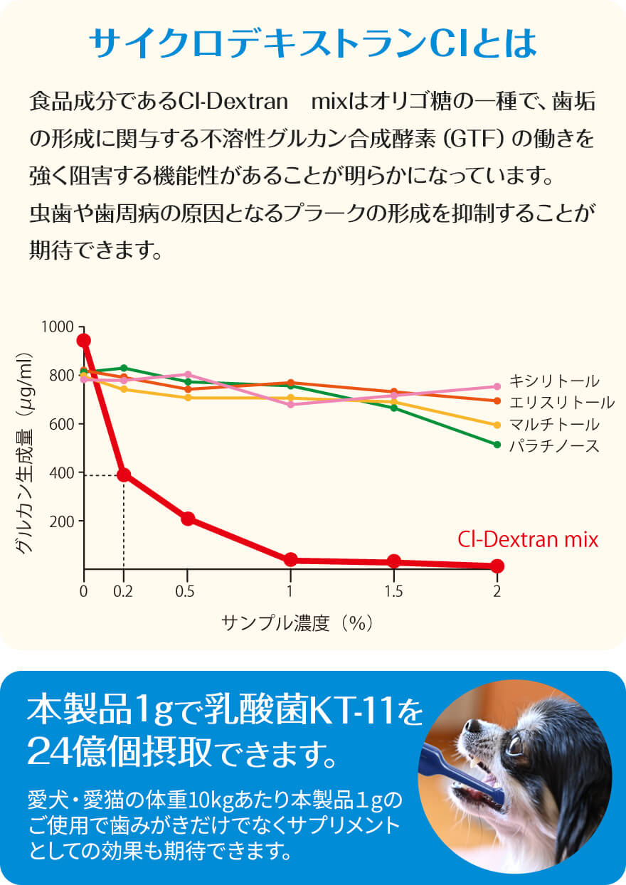 デンタルスマッシュ商品説明
