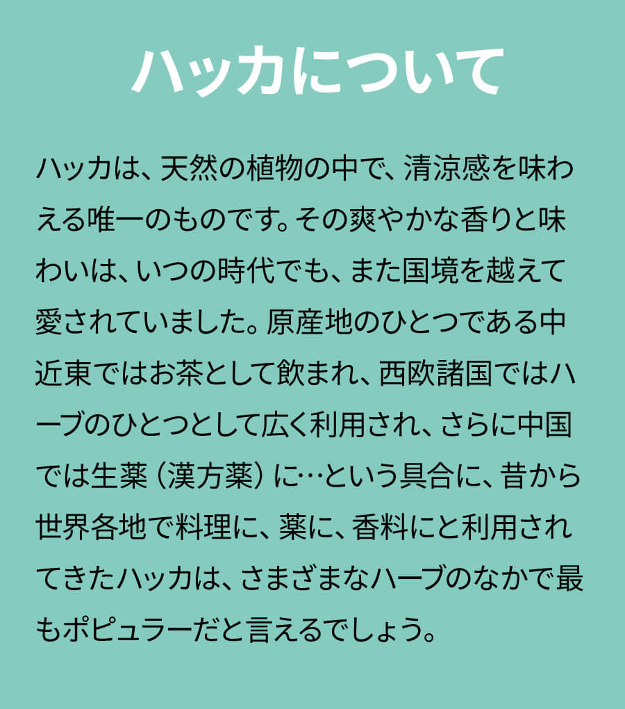 ハッカ油商品説明1