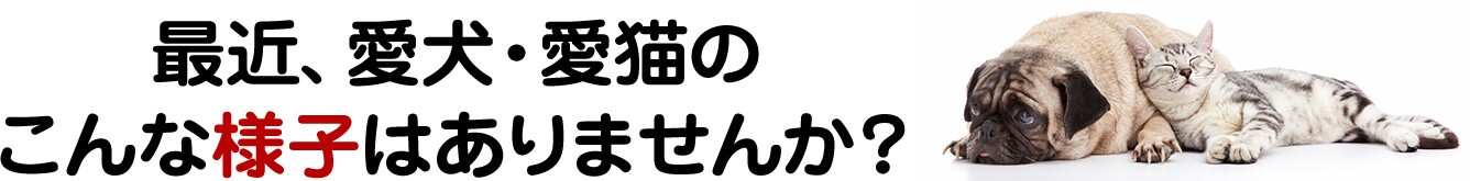 ジョイントファイン商品説明