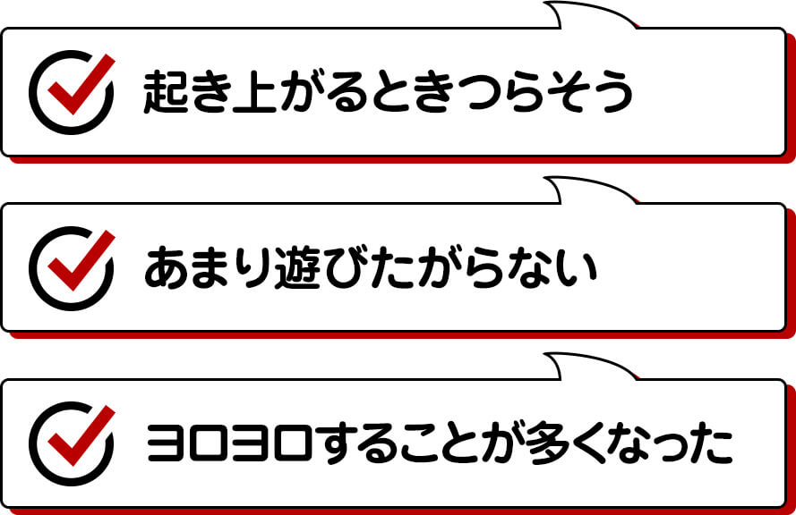 ジョイントファイン商品説明