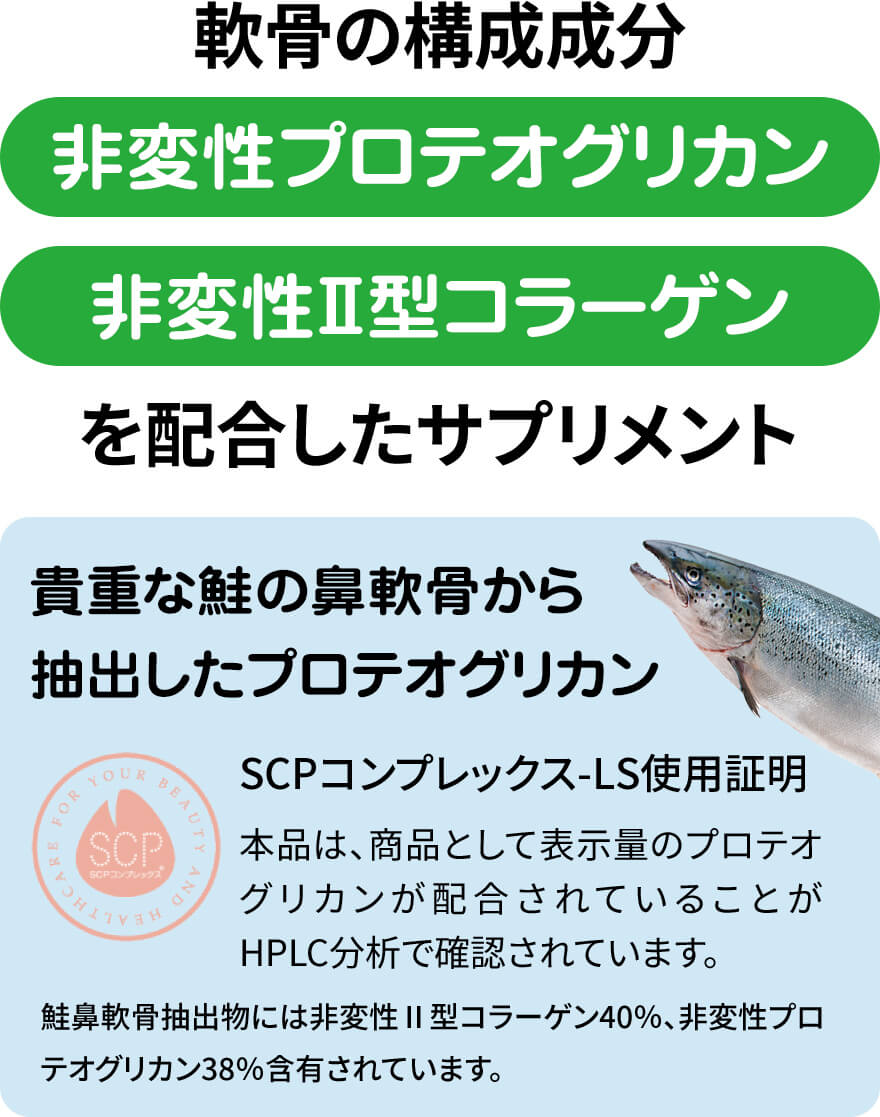 ジョイントファイン商品説明