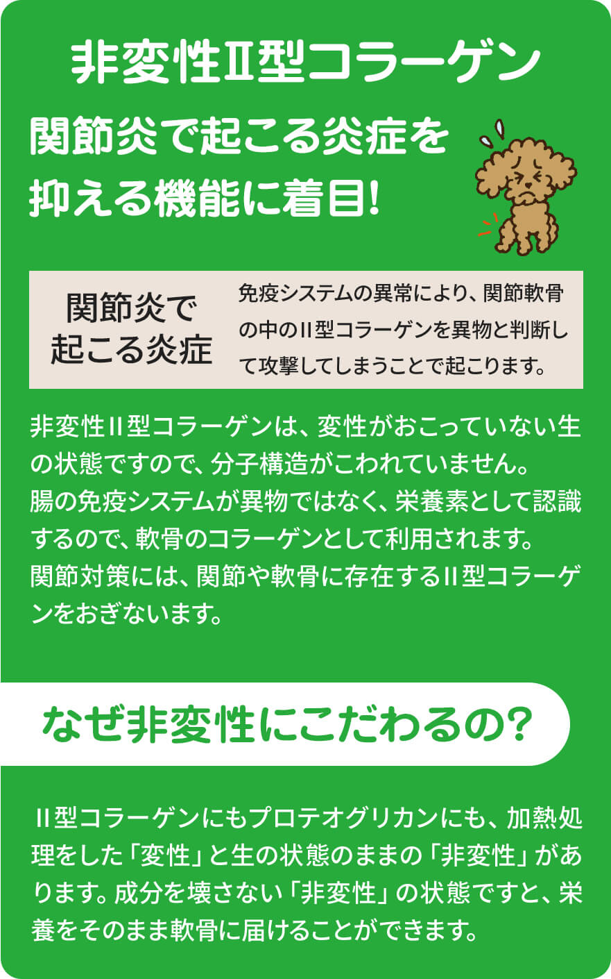 ジョイントファイン商品説明