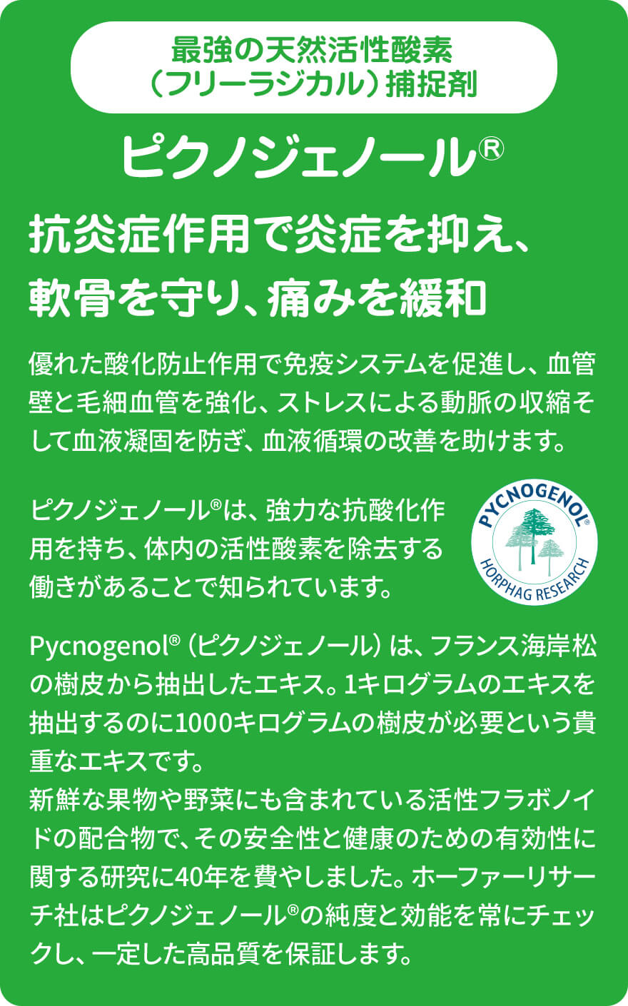 ジョイントファイン商品説明