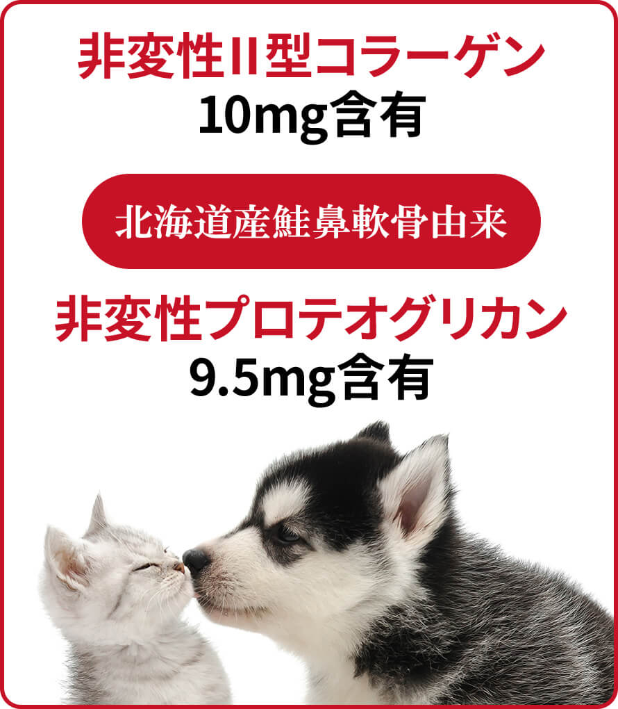 ジョイントファイン商品説明