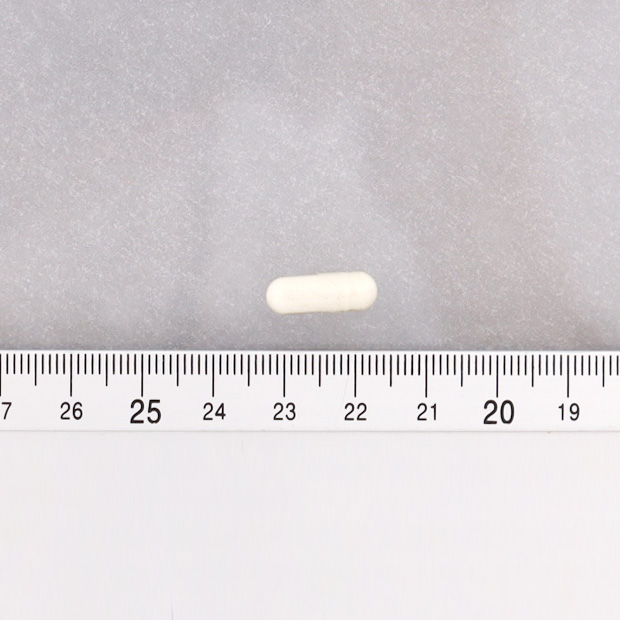 ジョイントファイン