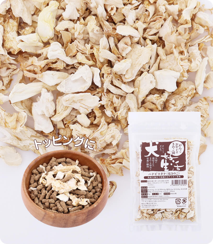 犬好生活きのこ園商品説明