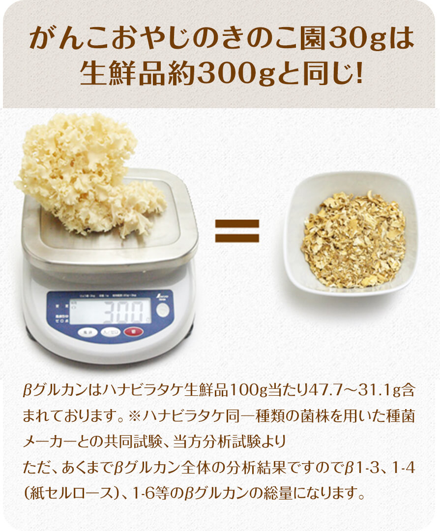 犬好生活きのこ園商品説明