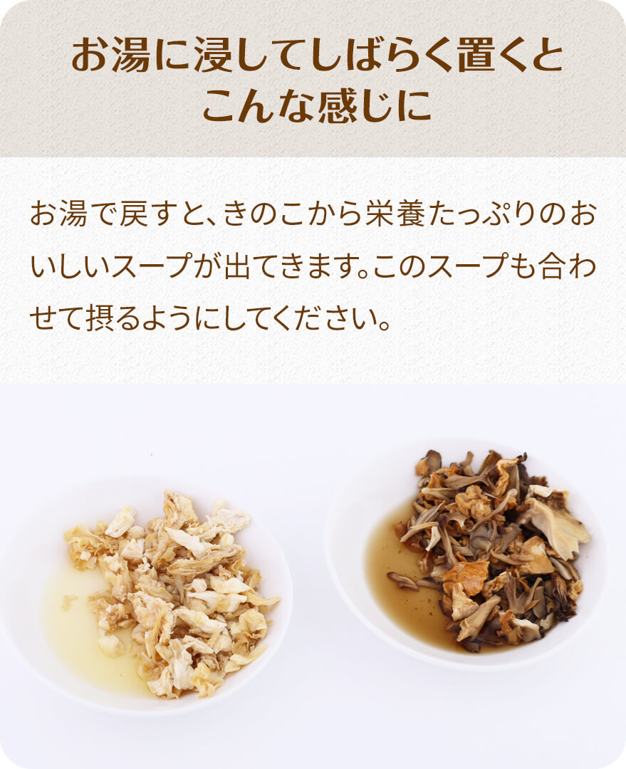 犬好生活きのこ園商品説明