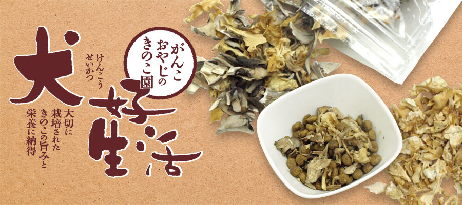 犬好生活きのこ園バナー