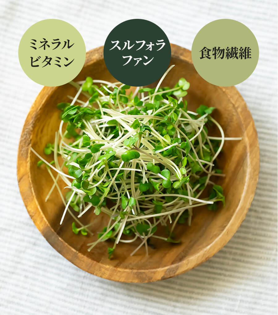 ブロッコリースプラウト商品説明