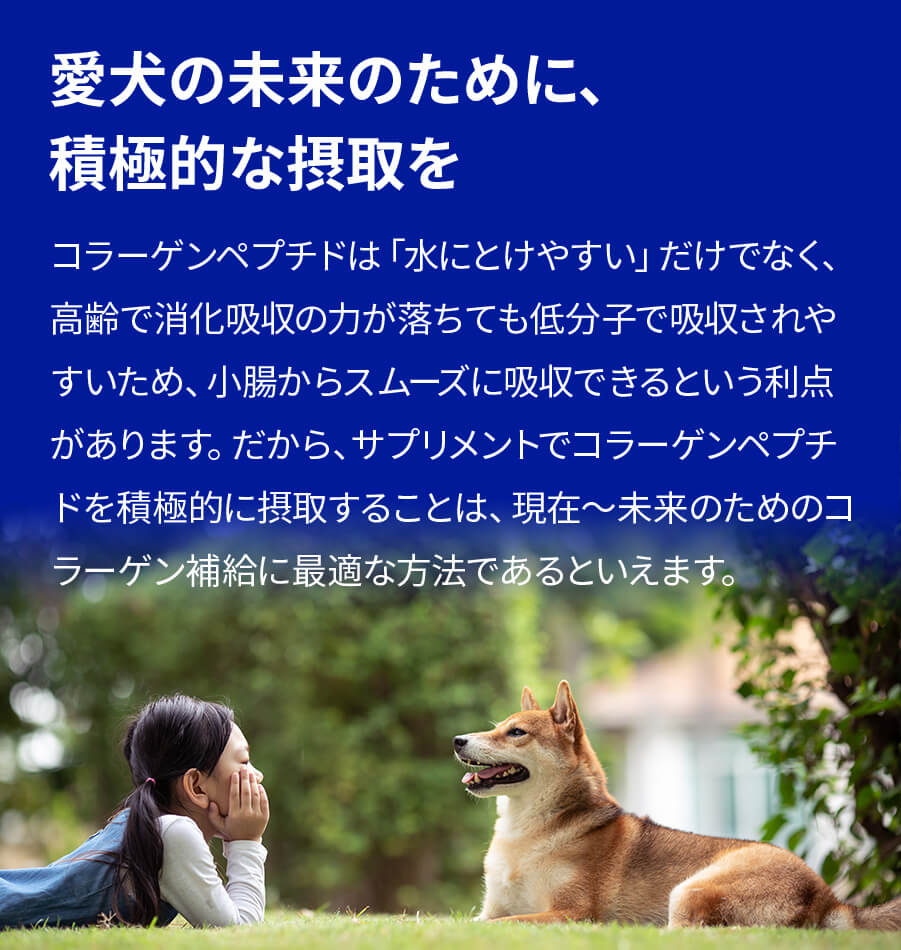 夢みるコラーゲン商品説明