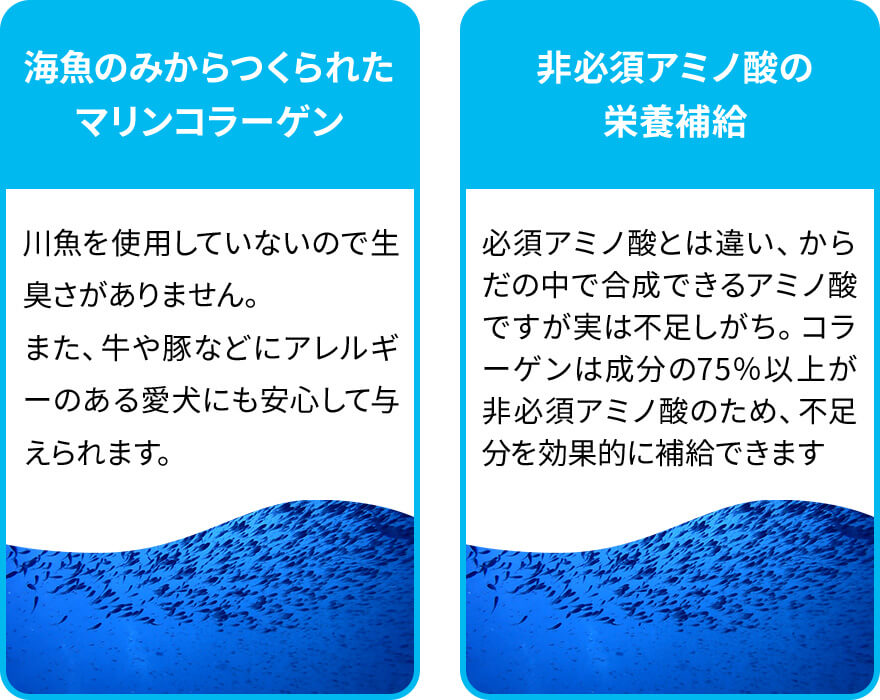 夢みるコラーゲン商品説明