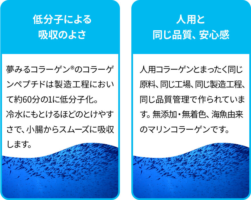 夢みるコラーゲン商品説明